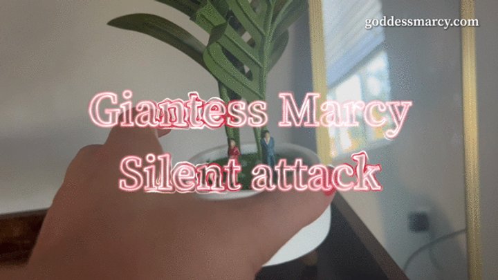 Goddess Marcy - Giantess Marcy silent attack