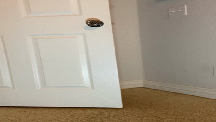 Scarlett Kage - Step-Mom comes home to find a party has shrunk everyone - giantess, femdom, tinies in vagina, tinies in pussy, MP4SD