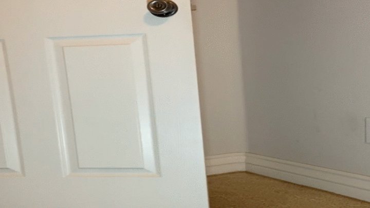 Scarlett Kage - Step-Mom comes home to find a party has shrunk everyone - JIGGLY giantess, femdom, tinies in vagina, tinies in pussy MP4