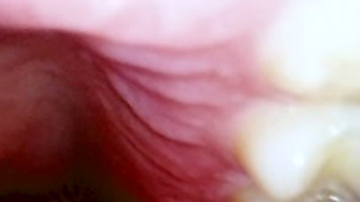 Mxdominionakacrushgoddess Clips - Vore - Bug or Prey? She Decides POV, Female Domination, Giantess, Shrinking 1080 smaller