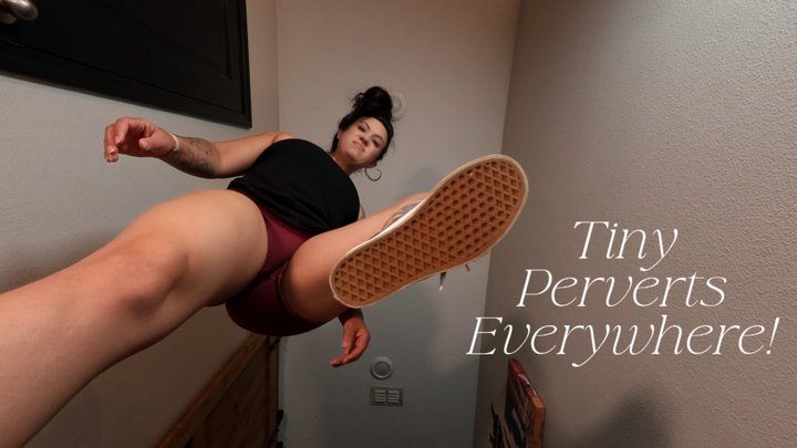Your Favorite Giantess - Tiny Perverts Everywhere! (mp4)