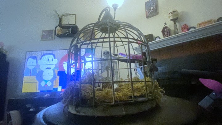 Mxdominionakacrushgoddess Clips - fantasy - Forgotten Teenie: Tiny in a Giantess Cage, femdom, giantess, shrinking fetish 4k smaller