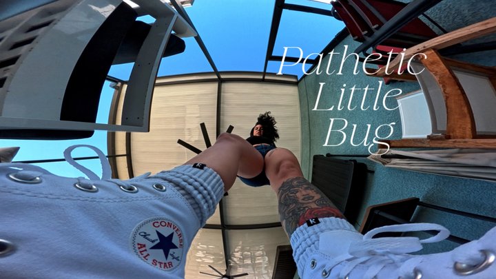 Your Favorite Giantess - Pathetic Little Bug (mp4)