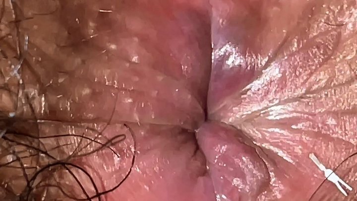 Latinvibes - Giantess s asshole favorite dessert is her shrunken boyfriend, anal vore, body exploration