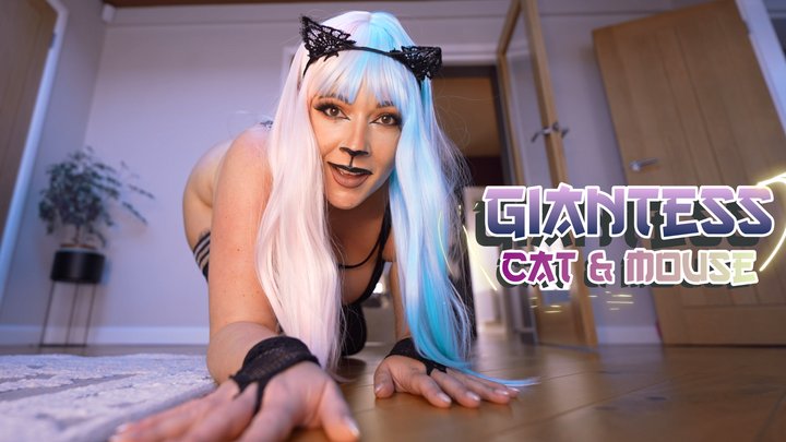 Sashacurves - Giantess Cat and Mouse