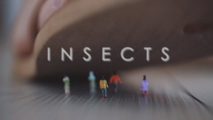 Rrawpictures - Insects - Danielle Maye