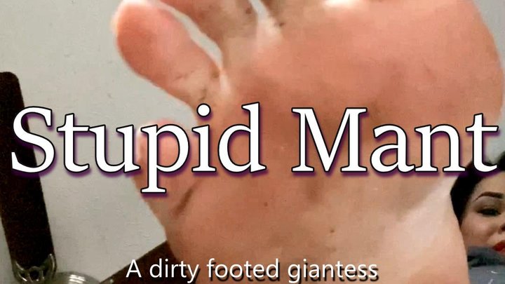 Bountiful Murdah - Stupid Mant Remastered 4K