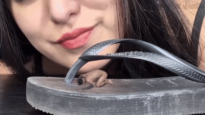 Bratty Mean Giantess - Sexy Gothic Giantess captured tiny man to Punish him