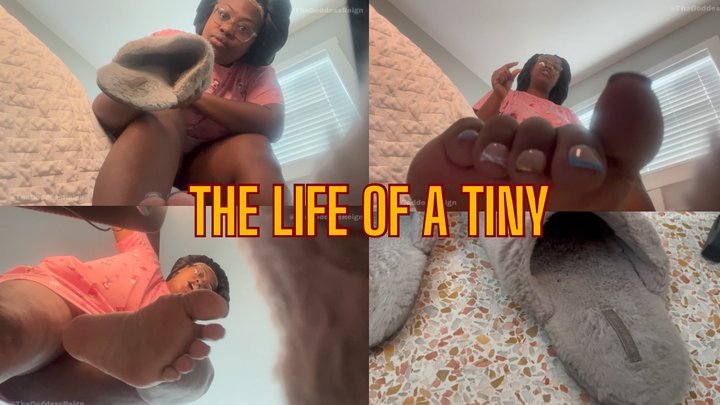 Tha Goddess Reign - The life of a tiny: Caught hiding in my pink stinky house slippers