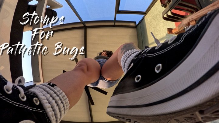 Your Favorite Giantess - Stomps For Pathetic Bugs (mp4)