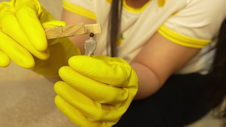 Amayamori - Giantess Stepsister humiliates tiny stepbrother giantess stepsister has a yellow latex dishwashing glove because she likes to wear gloves and humiliates tiny stepbrother