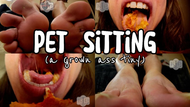 Ladykassandra - Pet Sitting: A Grown Tiny Man