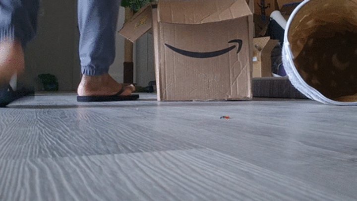 Bae Soles - Unaware Giantess: Tiny Danger Under My Flip-Flops