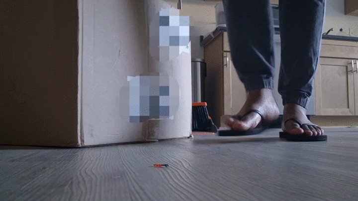 Bae Soles - Unaware Giantess: Cleaning the Living Room While You Try Not To Be Seen