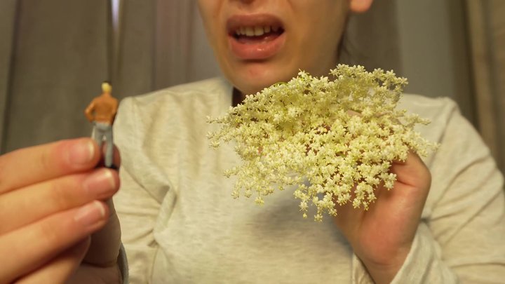 Amayamori - Giantess Sneezing Allergy Reaction Story