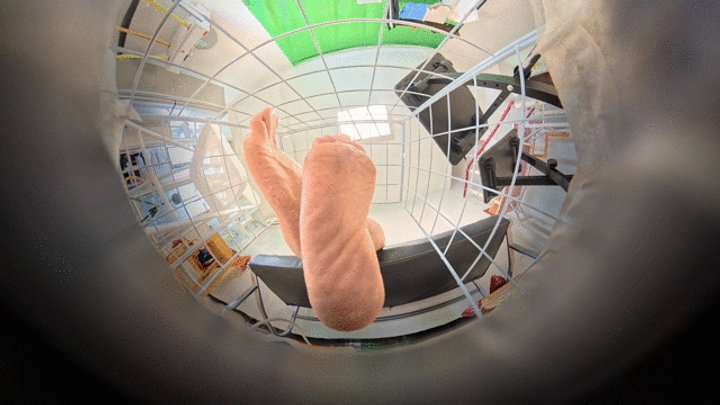 Gts Asia Vr World - Anna's stinky feet humiliated Jamie in the giantess