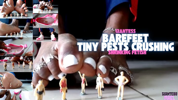 Maeling - Tinnies Gets Crushed Barefeet - Shrinking Fetish, Sneaker Fetish, Crushing, Ebony Feet Fetish